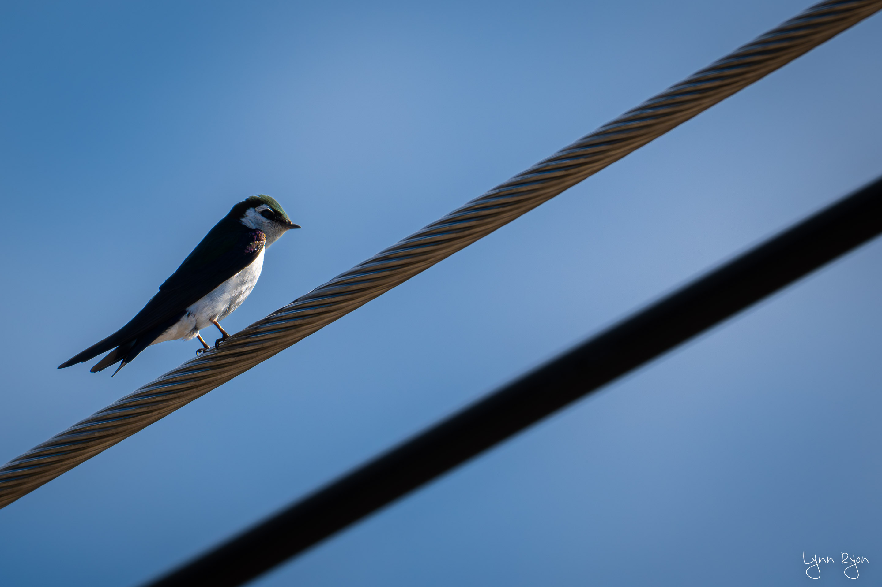 TL8 0896 Enhanced NR